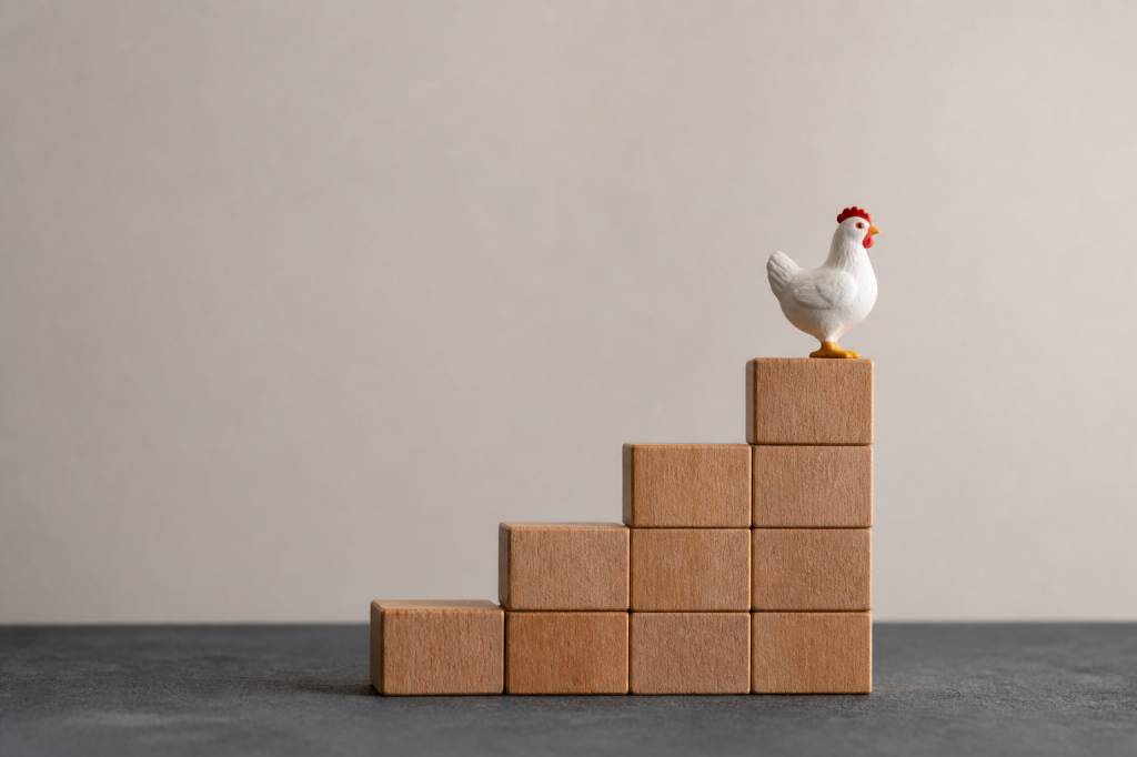 Wahrscheinlichkeit und Strategie auf der Chickensstraße