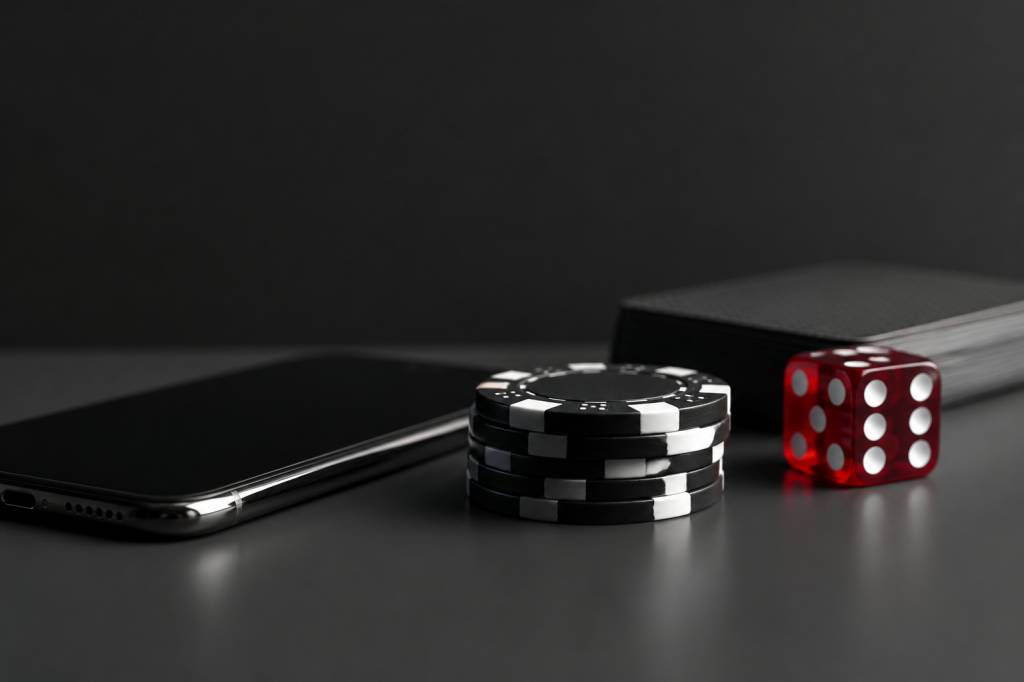 Casino Gaming Experience at Playtoro